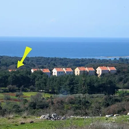 Polka Apartment